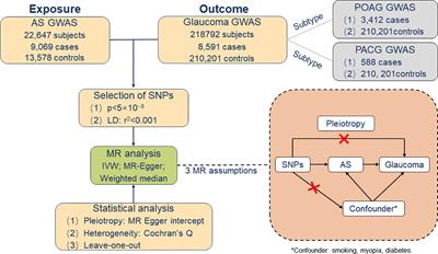 Ankylosing spondylitis and glaucoma in European population: A Mendelian randomization study